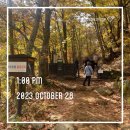 연곡면사무소(버스정류장) | 오대산 진고개-노인봉-소금강 코스(낙영폭포-광폭포-백운대-구룡폭포-식당암-금강사-소금강주차장) 후기