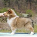 레디에이트(RADIATE) 이미지