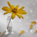 넌술포차 이미지