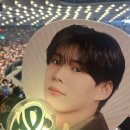 THE BON(더 본) | 250823 나니와단시 LIVE TOUR 2025 [BON BON VOYAGE] 오사카죠홀 낮공 참전후기