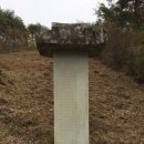 진주 박세항 묘 이미지