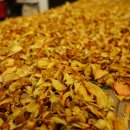 버스정류소_신산리 이미지