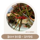 김치뚝딱 | 돌쇠네 농산물 맛있는 김치양념 솔직후기 파김치 뚝딱