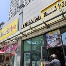 김쌤애견 이미지