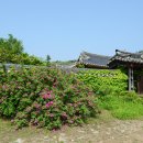 보은 우당고택 이미지