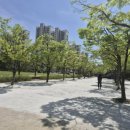 새물근린공원 이미지