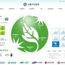케이디스타