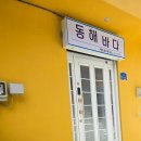 전망하우스 | 동해 게스트하우스 바다 전망이 아름다웠던 동해바다 게스트하우스 후기