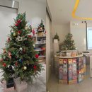 광주양벌IVY학원 | [후기] 12/4 초등부·파닉스 설명회, 학부모님의 뜨거운 열기 속에 성료! 🎓