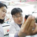 서울대학교 융합과학기술대학원 이미지