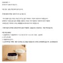 초이스토어 | [초이도자기공방] 조약돌 시리즈 1년 사용 후기 |신혼 그릇 추천 | 무광 도자기 그릇 추천