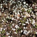 금강트럭 이미지