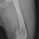 도희동물병원 이미지