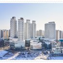 센텀그랑대표공인중개사사무소 이미지