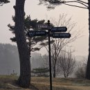 샤인데일 골프&리조트 | [공지] 3월 주말 홍천 샤인데일 골프&amp;리조트 퍼블릭27홀