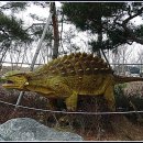 덕소자연사박물관 이미지