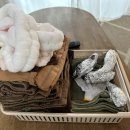 헤이핀란드독채사우나펜션 이미지