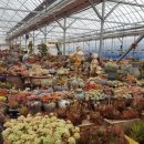 기쁨이네농장 이미지