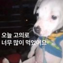 유유자적 이미지