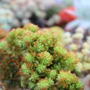 후선 농장 이미지