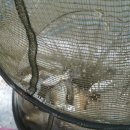 안골 낚시터 이미지