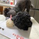 더맛있개 | 부천 더맛있개 ) 수제간식전문점, 강아지 입체케이크 주문제작