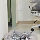 쌀롱 드 빼로 이미지