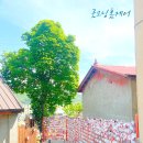바램상회