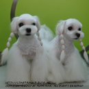 대흥이발관 이미지