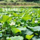 청운사 | 전북 김제 청운사 하소백련축제