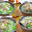 밀림식당 이미지