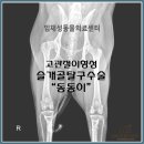임재성동물의료센터 이미지