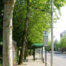 김정산 카카오 검색결과