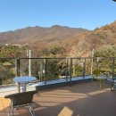 트리즈 | 경기/성남카페 트리즈 방문 후기