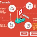 셀커크랜드 네이버블로그