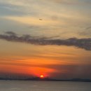 찜천하 | 거북섬 맛집 바다수퍼해물천하조개구이 조개찜 오션뷰대박!