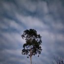 여명민박 이미지