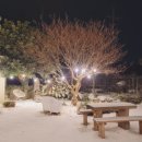 소원민박 이미지