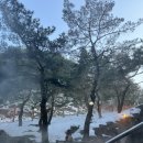 안성면102 | [무주/여수/순천] 겨울 국내여행 : 덕유산 국립공원, 여수 향일암&amp;낭만포차거리, 순천만 습지 철새 구경