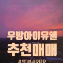 우방다방