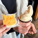 아쿠아플라넷 여수 | 여수가볼만한곳 추천 아쿠아플라넷여수점 다녀온후기