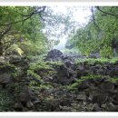 창원중앙역 이미지