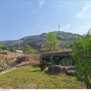 따뜻한 on동물병원 | 양산 반려동물 장례식장 메리온 후기, 반려견과 따뜻한 이별을 준비하다
