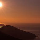 일출수산 이미지