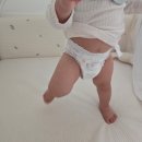 ㈜우리돌 | [리뷰]팸퍼스 2026 터치 오브 네이처 썸머팬티/돌아기 여름 기저귀