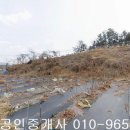 삼호읍사무소 이미지