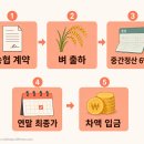 황금시장경로당 | 공공비축미 중간정산금 6만 원 인상 후기 — 40만 톤 매입·저단백 우대·품종 제한 3분 정리