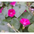 상남중학교 이미지