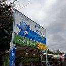 경재수산 | [농수산식품체험] 전통시장성공사례 노량진수산물도매시장에 다녀오다!