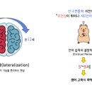 애슐리영어교습소 이미지